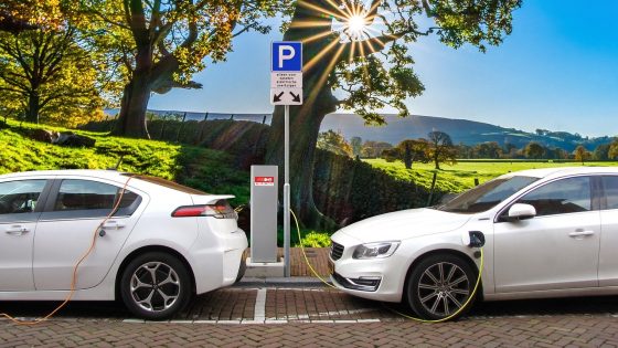Les voitures électriques en plein essor, Tesla en net déclin