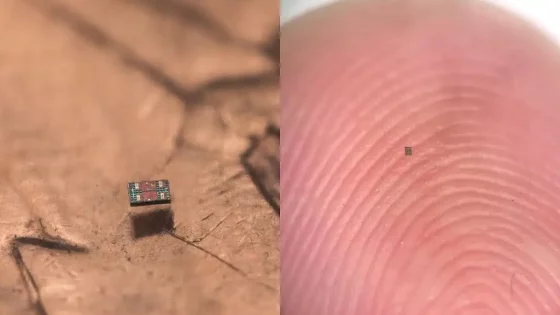 图片来源:zmescience.com